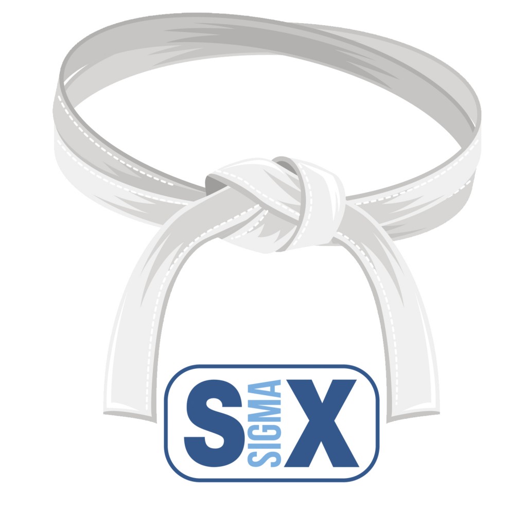 Lean And Six Sigma White Belt Training And Certification lean-and-six-sigma-white-belt-training-and-certification